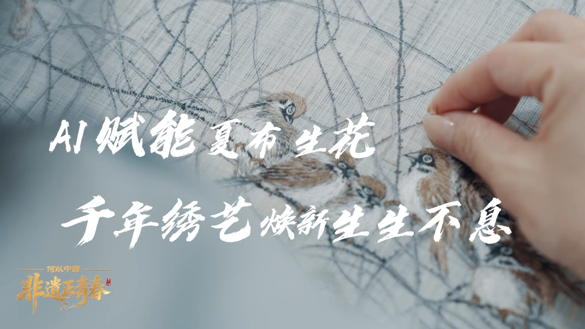 司马南在胖东来直播被劝离