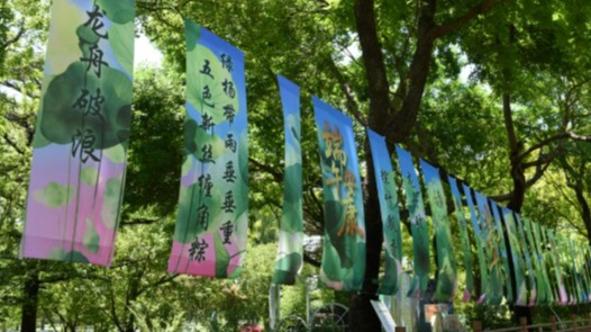 听泉鉴宝喊话别再神话我了