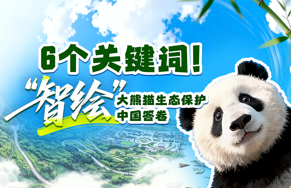 李沁妆造