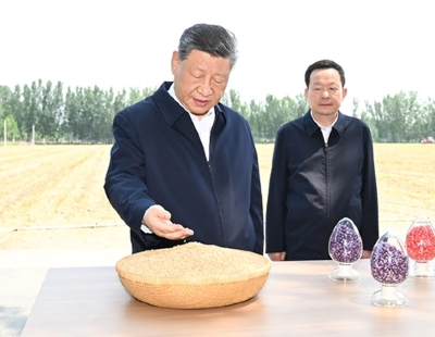 这个多亿的大项目背后有深意