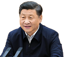 樊振东全锦赛适应场地训练