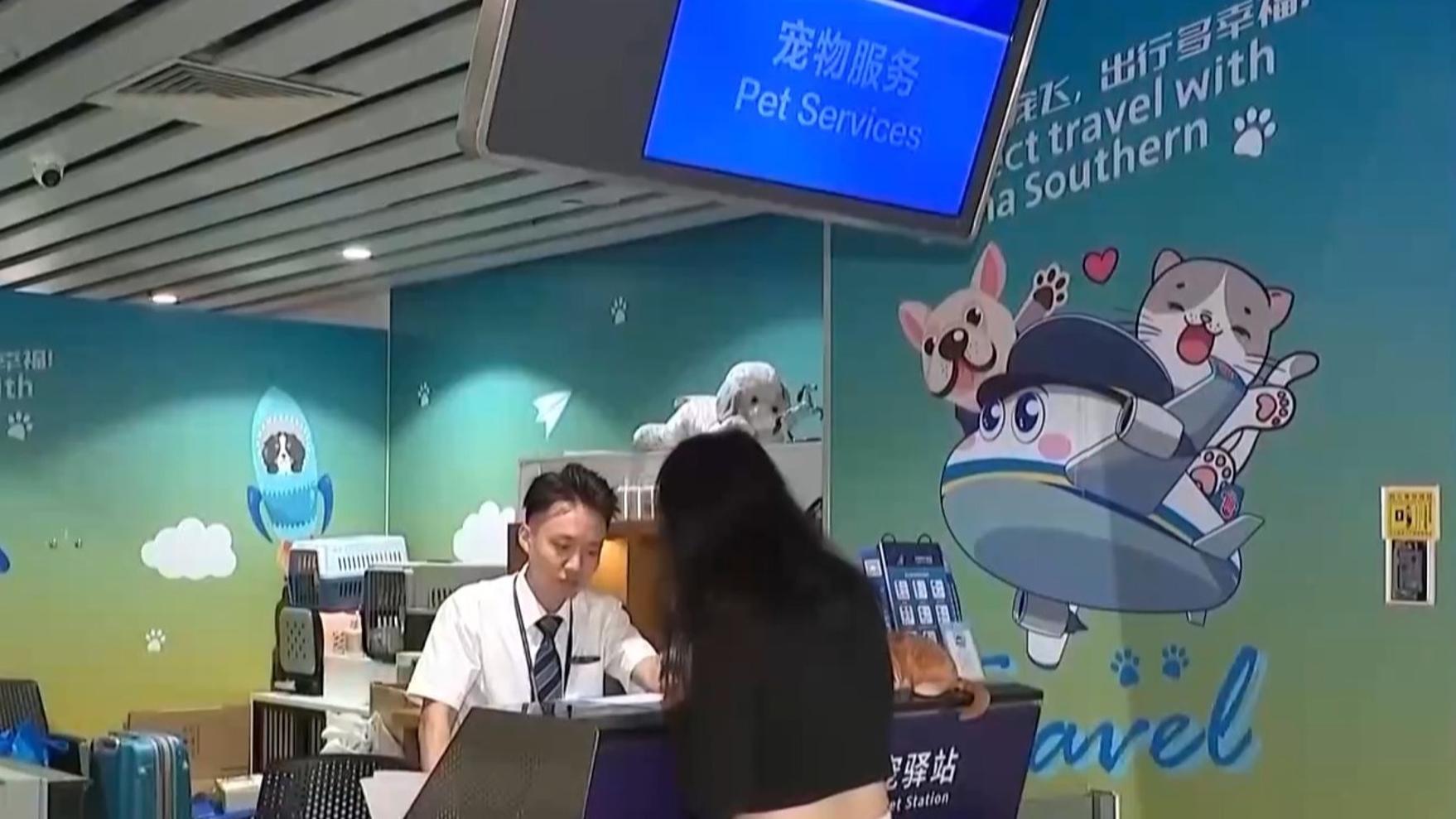海量高清资源