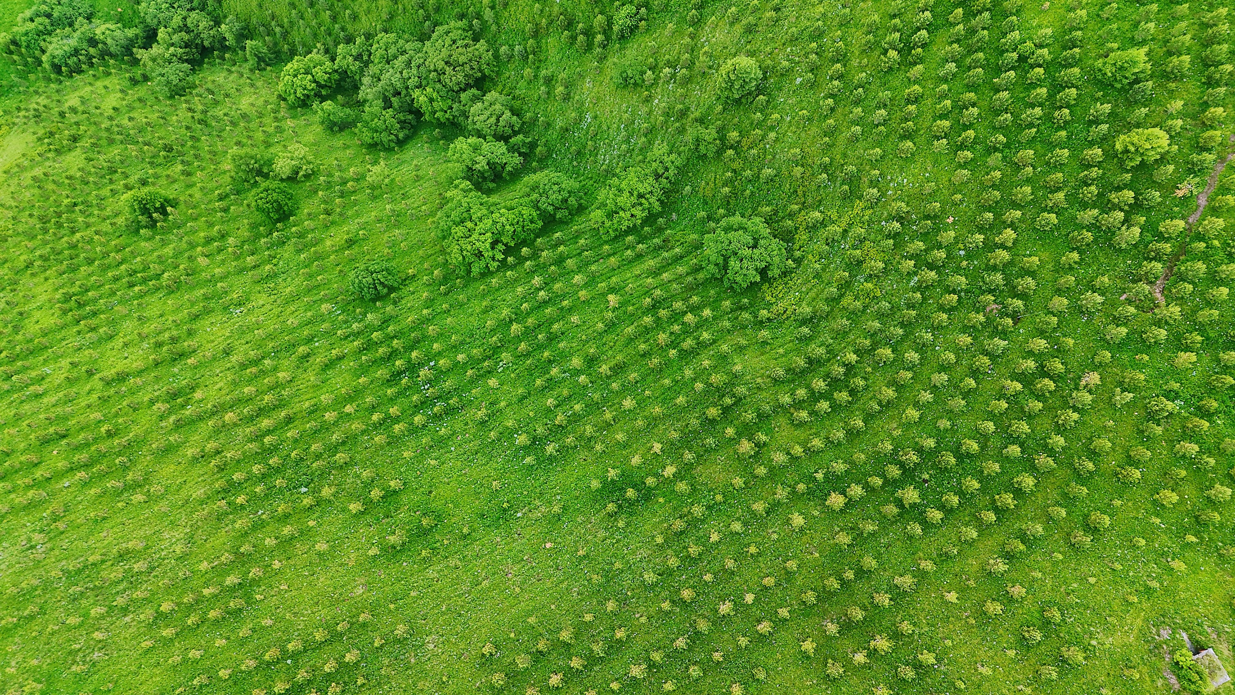 景德镇巨响