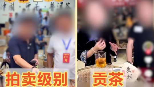 林诗栋蒯曼冠军