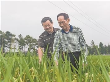 德国连续三天刷新最高气温纪录