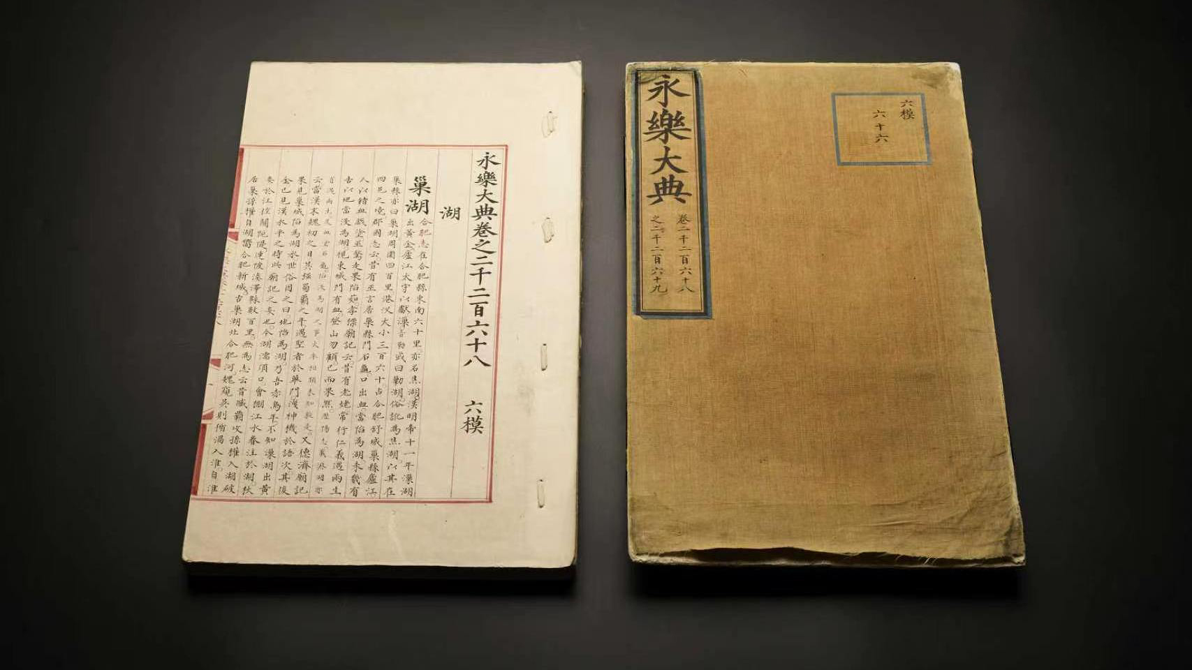 小米冲上公交站台致人受伤