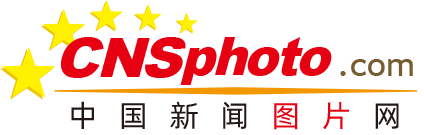 谢娜还是太超前了